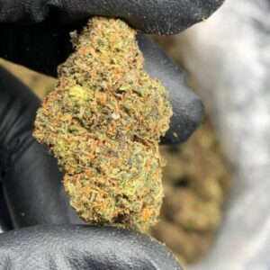 Apple Gelato