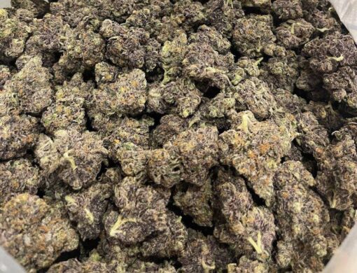 Biscotti strain
