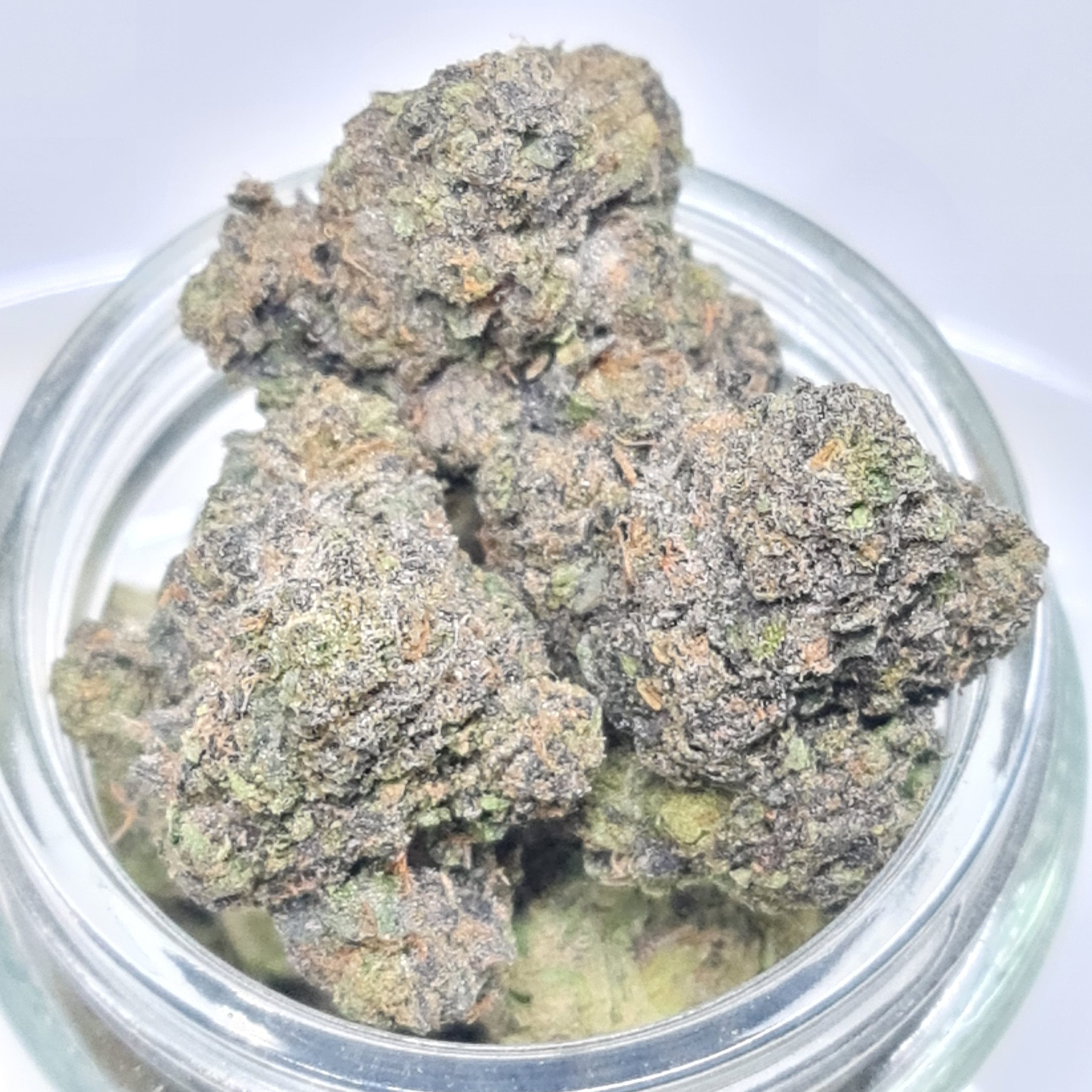 White candy strain