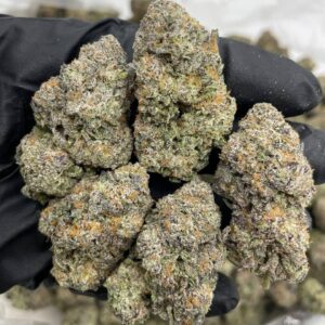 Blue Snowcone Strain