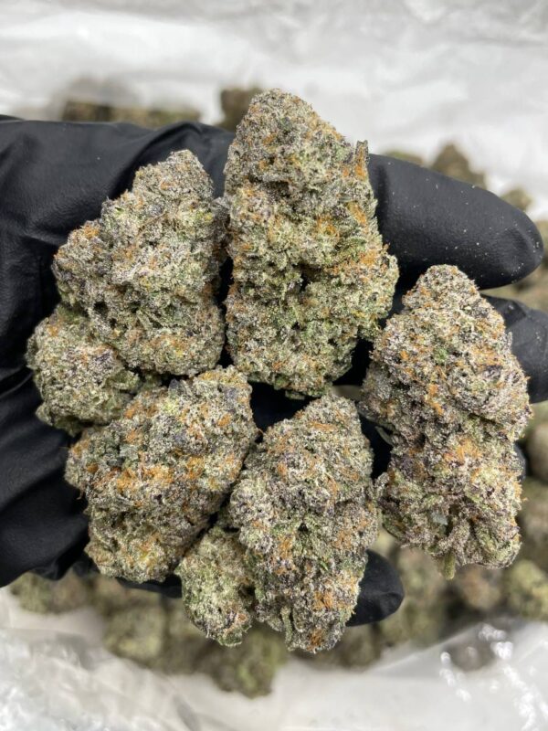 Blue Snowcone Strain