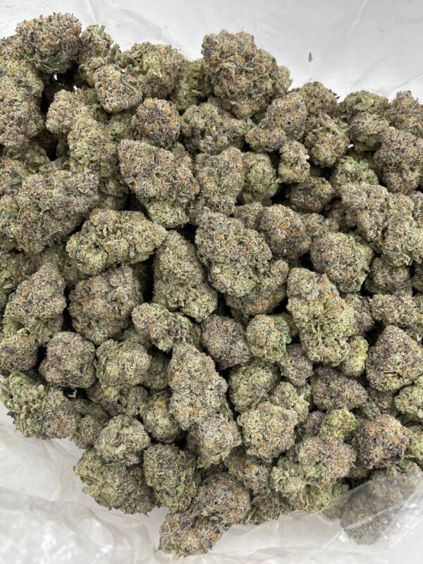Blue Snowcone Strain