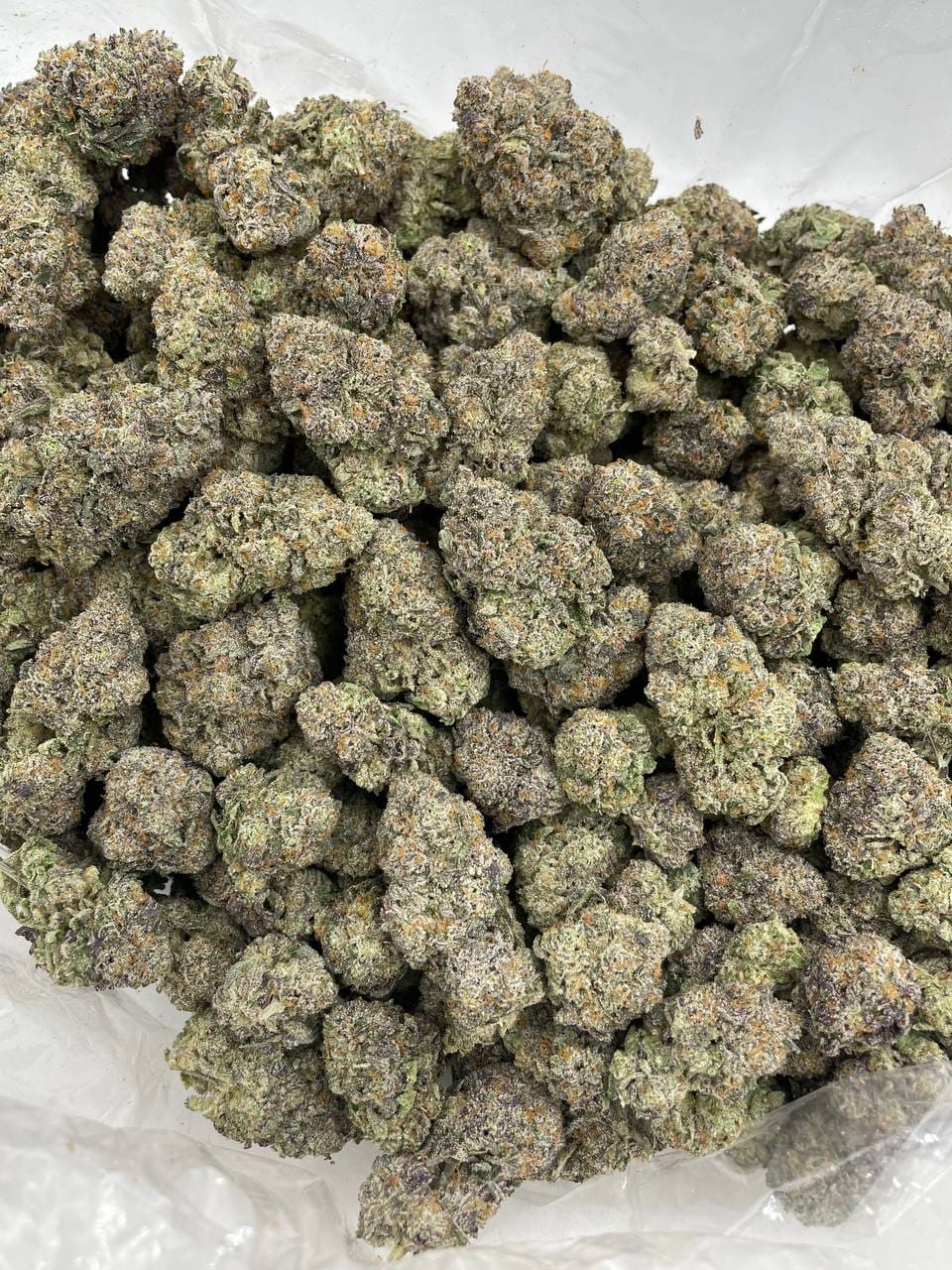 Blue Snowcone Strain