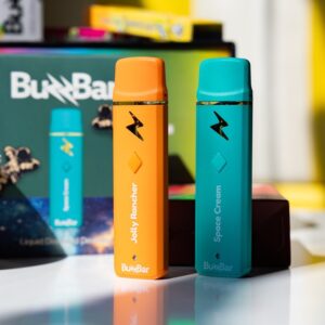 Buzz Bars 2G Disposable