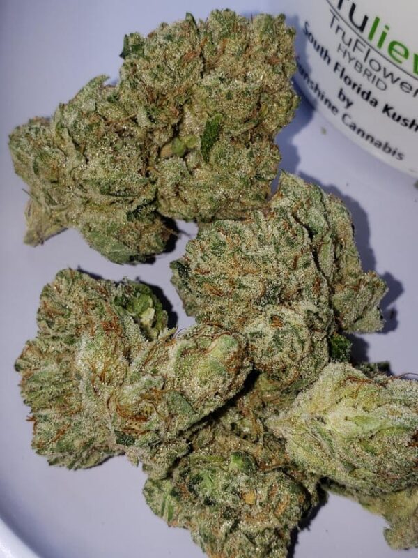 Florida kush strain
