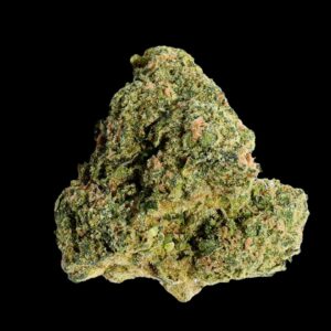 Florida kush strain