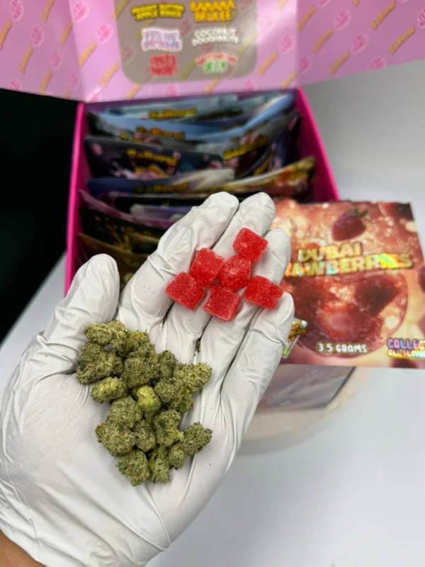 Zaburst x Terp Burst Edibles