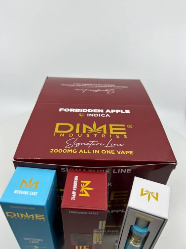 Dime disposable 2g